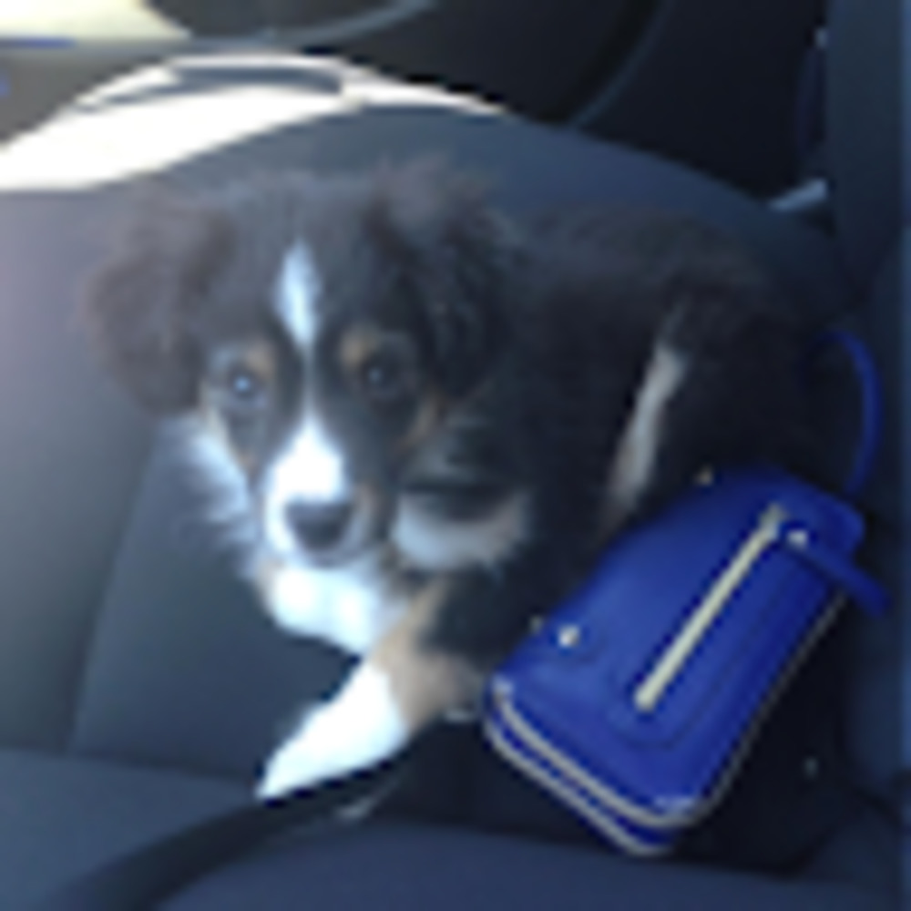 Meet your Posher, Libby